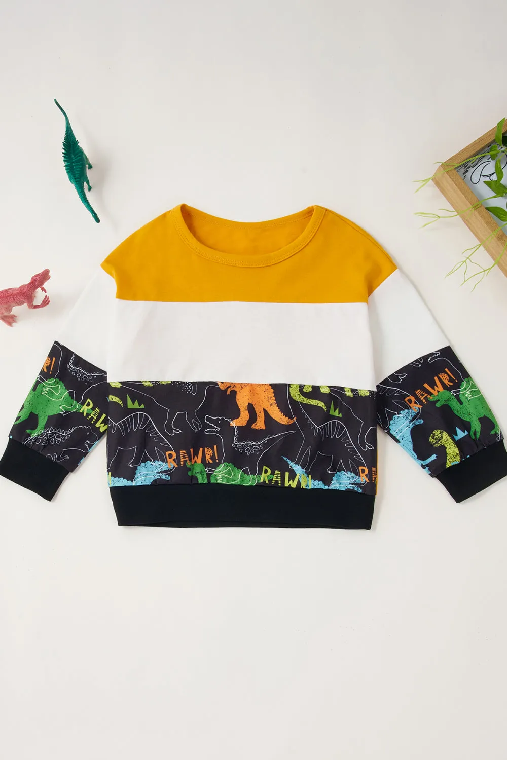 *App Exclusive* Boys Dinosaur Color Block Tee and Pants Set