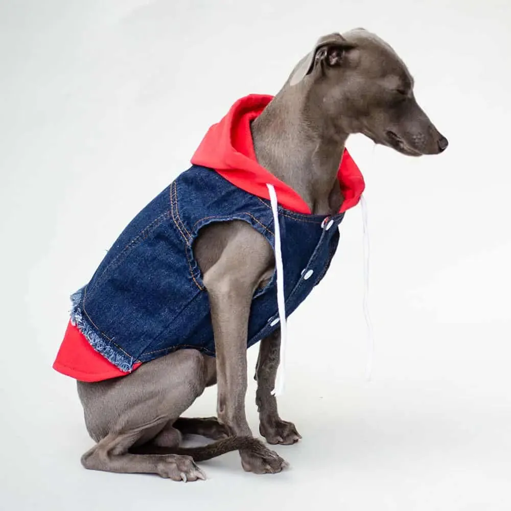 Hunde Jeansjacke mit Sweatshirt Details "Jeans-Hoodie red"