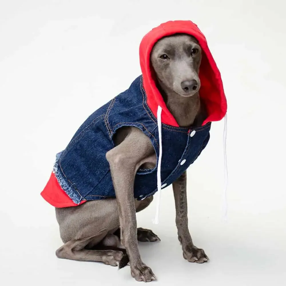 Hunde Jeansjacke mit Sweatshirt Details "Jeans-Hoodie red"