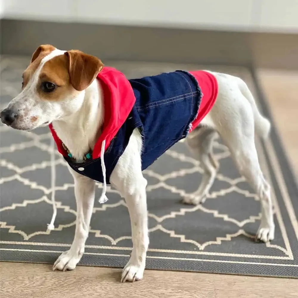 Hunde Jeansjacke mit Sweatshirt Details "Jeans-Hoodie red"