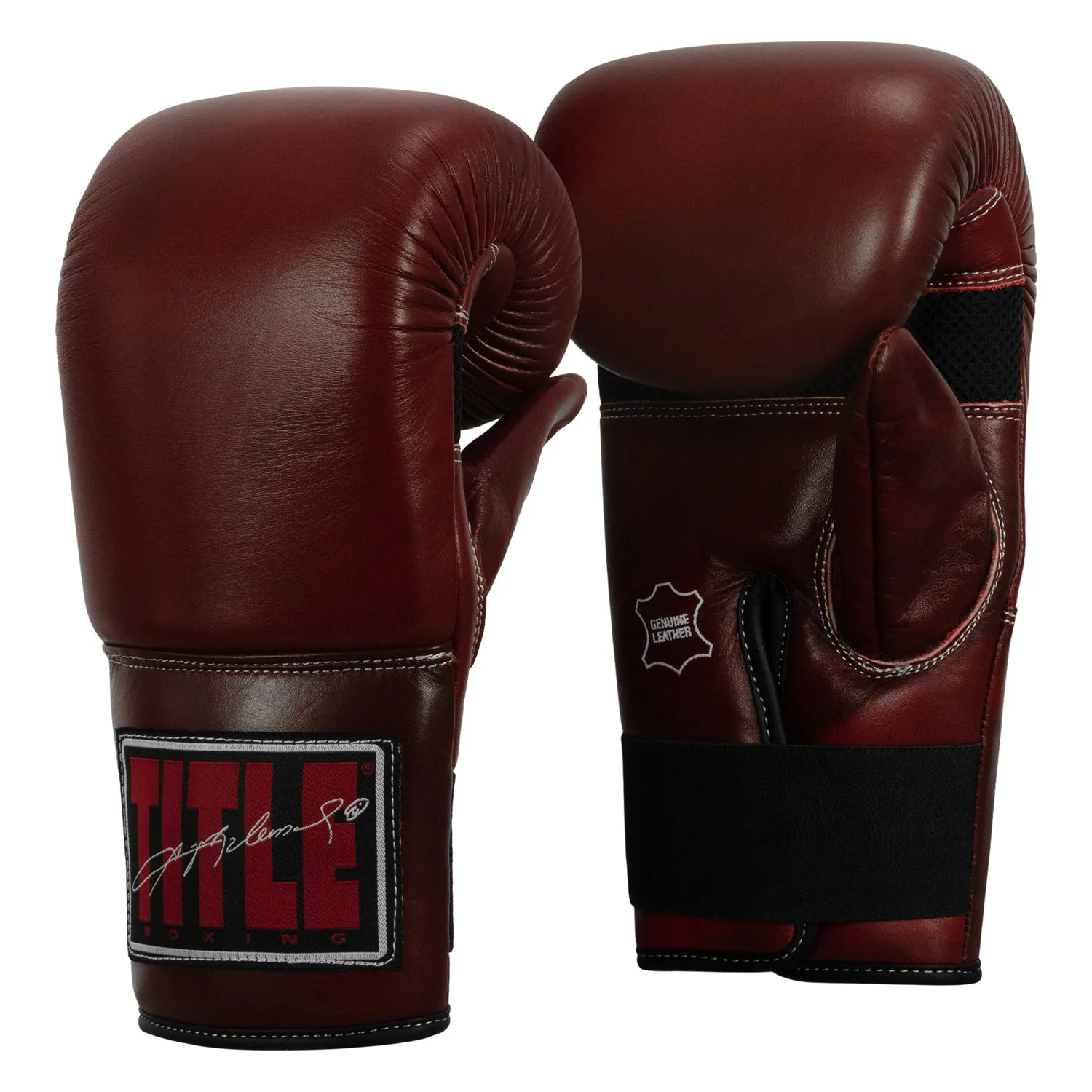 TITLE Boxing Sugar Ray Leonard Throwback Leather Bag Gloves