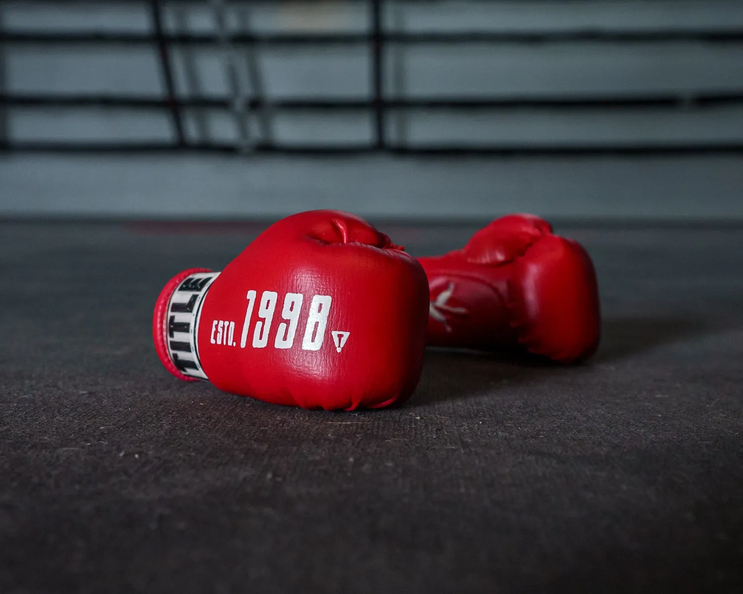 TITLE Boxing Throwback 1998 Anniversary Boxing Glove Keyring